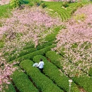龙岩旅游 缩略图 10