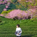 龙岩旅游 缩略图 11