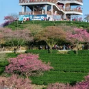 龙岩旅游 缩略图 2
