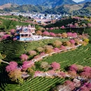 龙岩旅游 缩略图 1