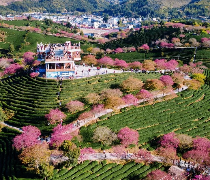 龙岩旅游 1