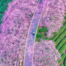 龙岩旅游 缩略图 13