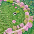 龙岩旅游 缩略图 12