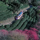 龙岩旅游 缩略图 7