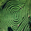 龙岩旅游 缩略图 4