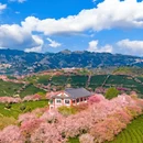 龙岩旅游 缩略图 18