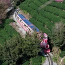 龙岩旅游 缩略图 3