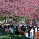 龙岩旅游 缩略图 10