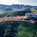 龙岩旅游 缩略图 9