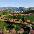 龙岩旅游 缩略图 12