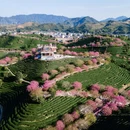 龙岩旅游 缩略图 11