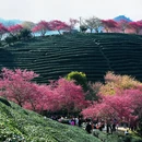 龙岩旅游 缩略图 8