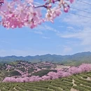 龙岩旅游 缩略图 5