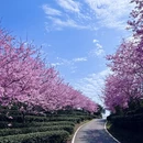 龙岩旅游 缩略图 3