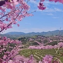 龙岩旅游 缩略图 1