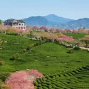 龙岩旅游 缩略图 14