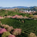 龙岩旅游 缩略图 13