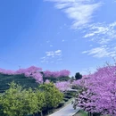 龙岩旅游 缩略图 4