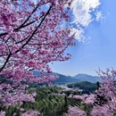 龙岩旅游 缩略图 2