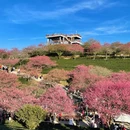 龙岩旅游 缩略图 16