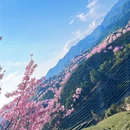 福州旅游 缩略图 14