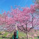 福州旅游 缩略图 16