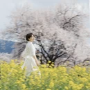 林芝旅游 缩略图 2