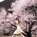 林芝旅游 缩略图 2