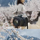 林芝旅游 缩略图 9