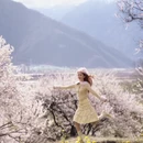 林芝旅游 缩略图 3