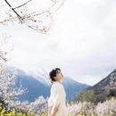 林芝旅游 缩略图 2