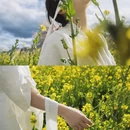 林芝旅游 缩略图 7