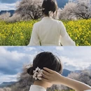 林芝旅游 缩略图 5
