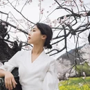 林芝旅游 缩略图 6