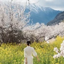林芝旅游 缩略图 14