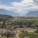 林芝旅游 缩略图 7