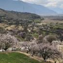 林芝旅游 缩略图 5