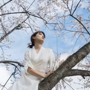 林芝旅游 缩略图 9