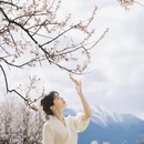 林芝旅游 缩略图 8