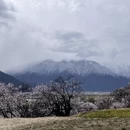黄山旅游 缩略图 3
