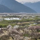 林芝旅游 缩略图 6