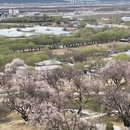 林芝旅游 缩略图 9