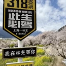 林芝旅游 缩略图 4