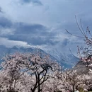 黄山旅游 缩略图 2