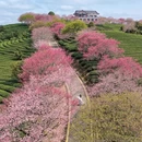 龙岩旅游 缩略图 1