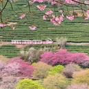 龙岩旅游 缩略图 6
