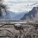 林芝旅游 缩略图 3