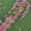 龙岩旅游 缩略图 5