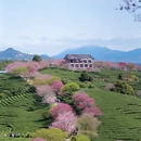 龙岩旅游 缩略图 4