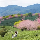 龙岩旅游 缩略图 7